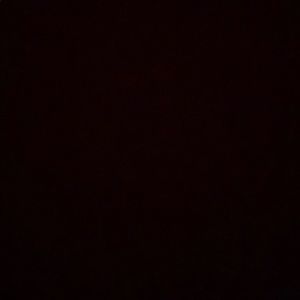 Meet your Posher, Riley